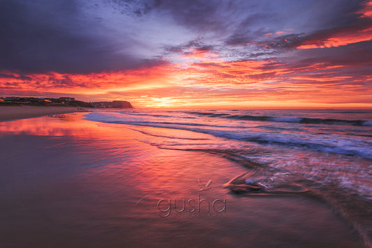 Merewether Beach NE1568