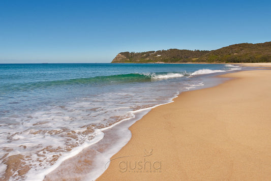 Photo of Dudley Beach NE1582 - Gusha