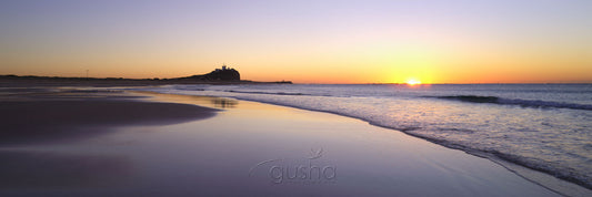 Photo of Nobbys Beach NE1595 - Gusha