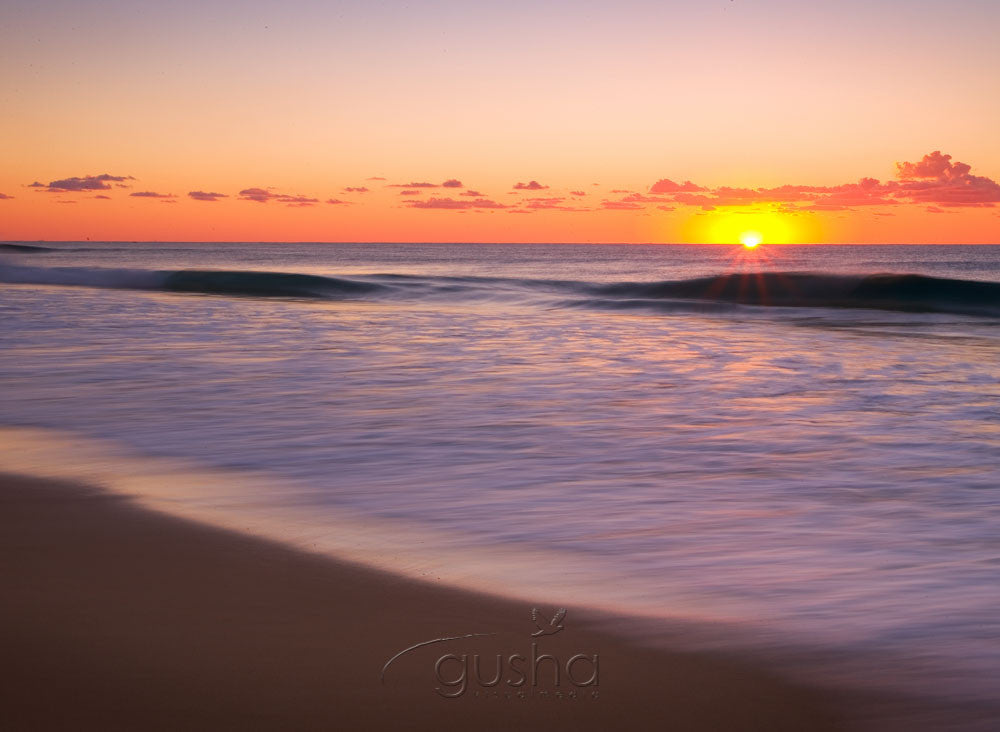 Photo of Sunshine Beach NO0359 - Gusha