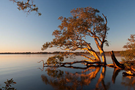 Photo of Lake Weyba NO2123 - Gusha