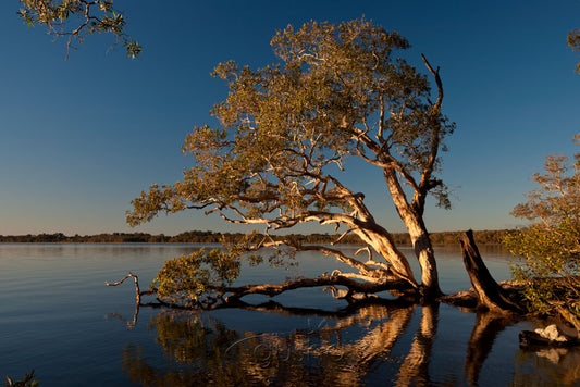 Photo of Lake Weyba NO2124 - Gusha