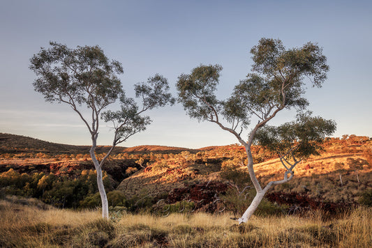 Weano Gorge Photo