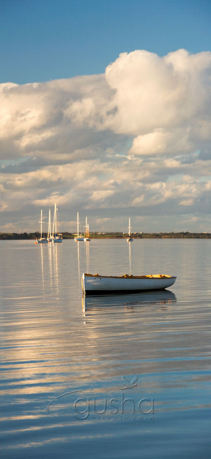 Photo of Phillip Island PI1214 - Gusha