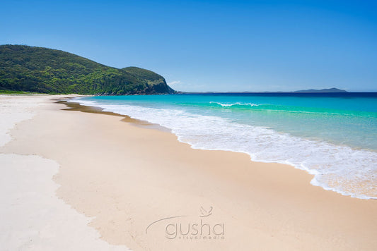 Photo of Elizabeth Beach PP0252 - Gusha