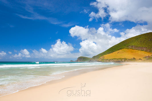 Photo of Blueys Beach PP0435 - Gusha