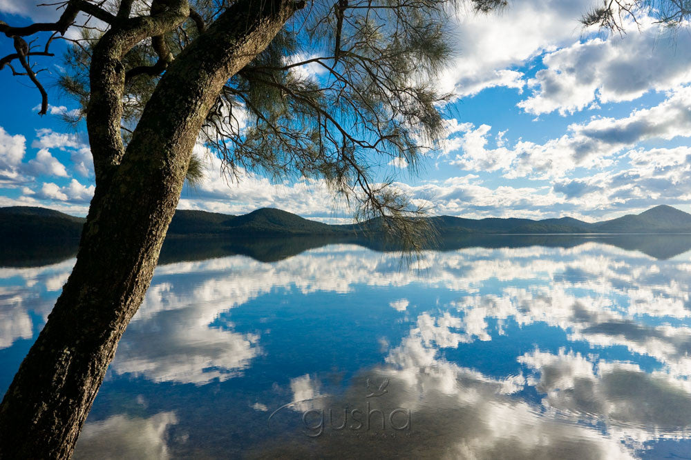 Photo of Wallis Lake PP0762 - Gusha