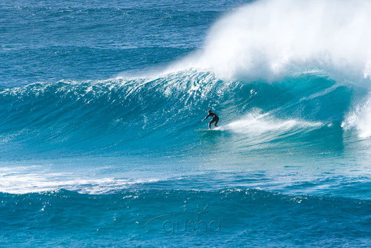Photo of Surfing Boomerang Beach PP2026 - Gusha