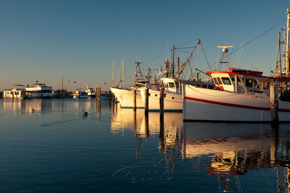 Photo of Nelson Bay PS1515 - Gusha