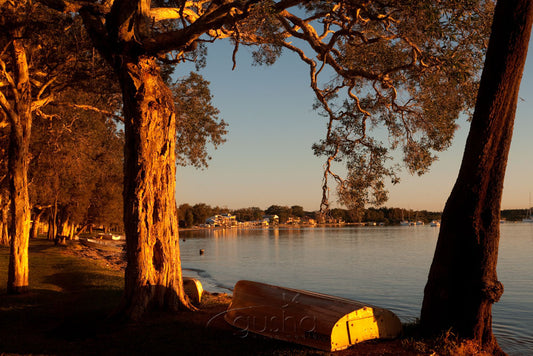 Photo of Salamander Bay PS1523 - Gusha