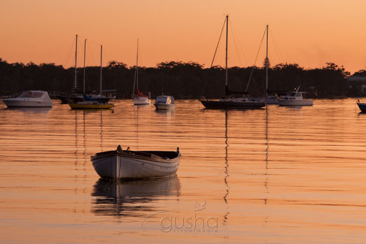 Photo of Salamander Bay PS1526 - Gusha