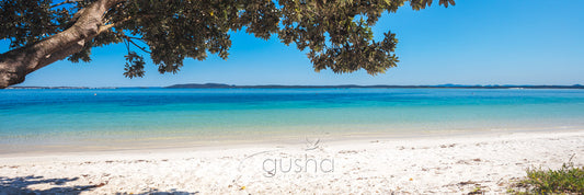 Photo of Nelson Bay Beach