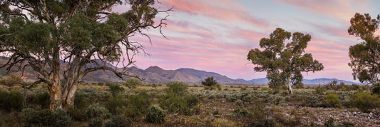 Sunset photo of farmland near the Flinders Ranges