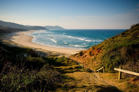 Photo of Grassy Head SH0680 - Gusha