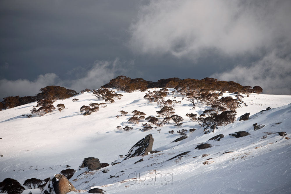Photo of Thredbo SN2410 - Gusha