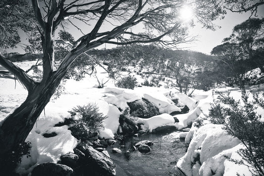 Thredbo River black and white Photo