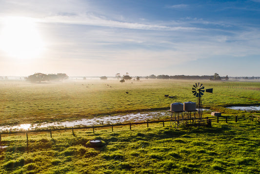 Early morning mist lifts off farmland at Kincela near the banks of the Macleay River.