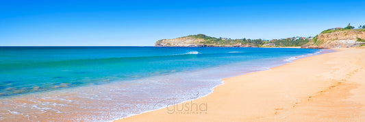 Photo of Mona Vale Beach SYD0237 - Gusha
