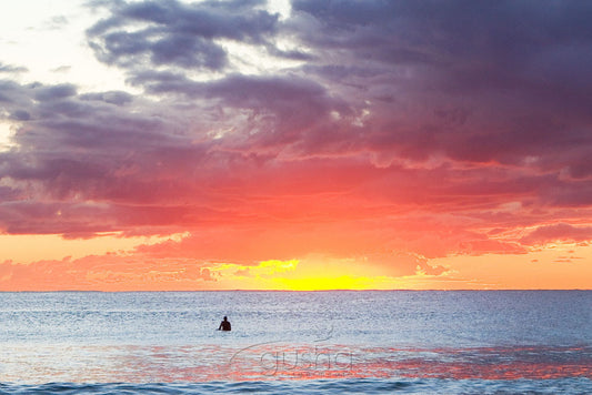 Photo of Manly Beach SYD0500 - Gusha