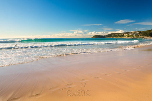 Photo of Manly Beach SYD0502 - Gusha