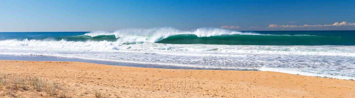 Photo of Narrabeen Beach SYD0509 - Gusha
