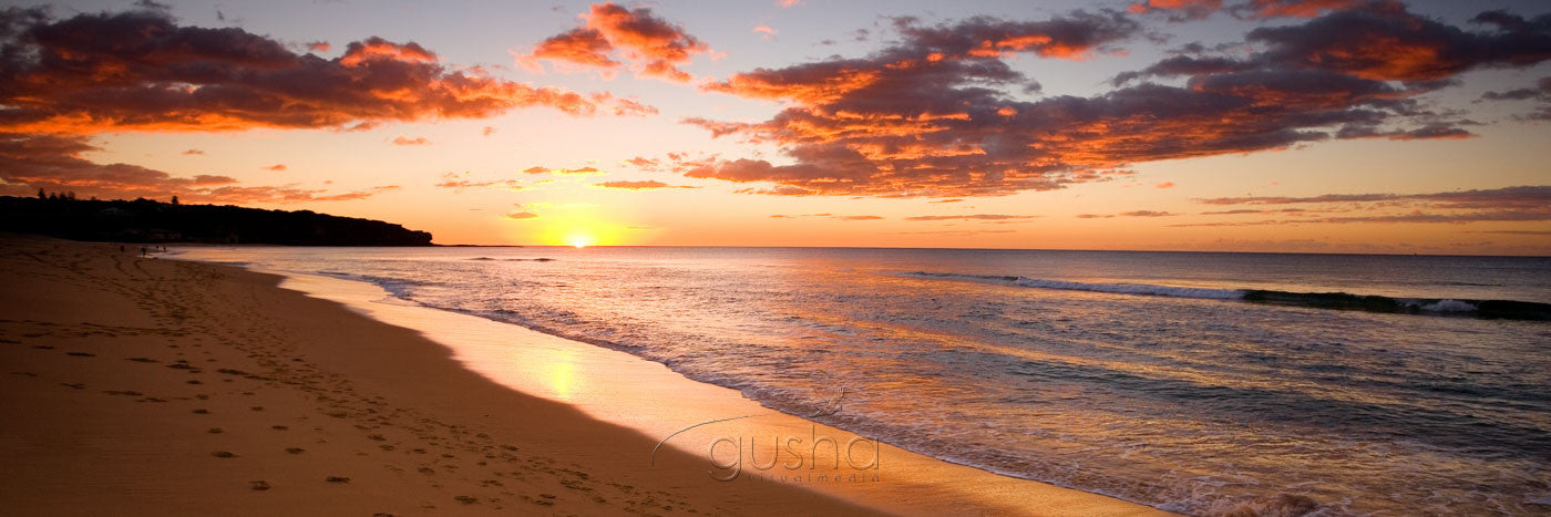 Photo of Curl Curl Beach SYD0516 - Gusha