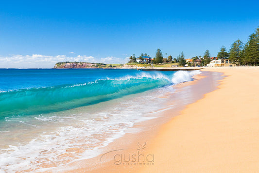 Photo of Collaroy Beach SYD0648 - Gusha