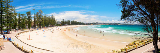 Photo of Manly Beach SYD0684 - Gusha