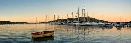 Photo of Pittwater SYD0710 - Gusha