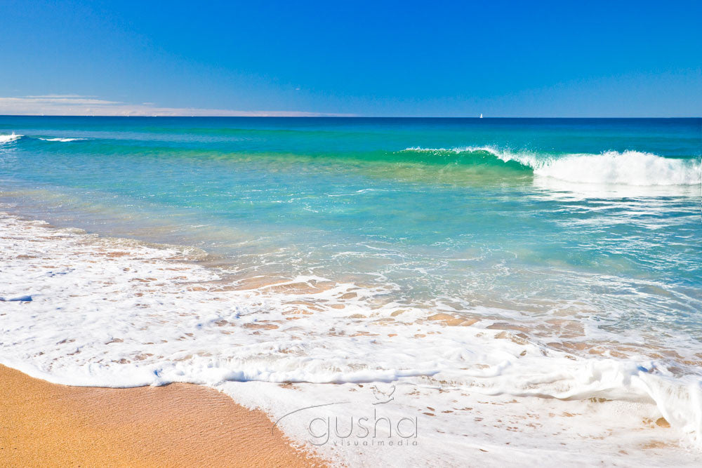 Photo of Narrabeen Beach SYD0804 - Gusha