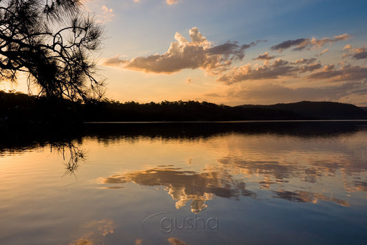 Photo of Narrabeen Lake SYD0896 - Gusha