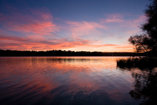 Photo of Narrabeen Lake SYD0897 - Gusha