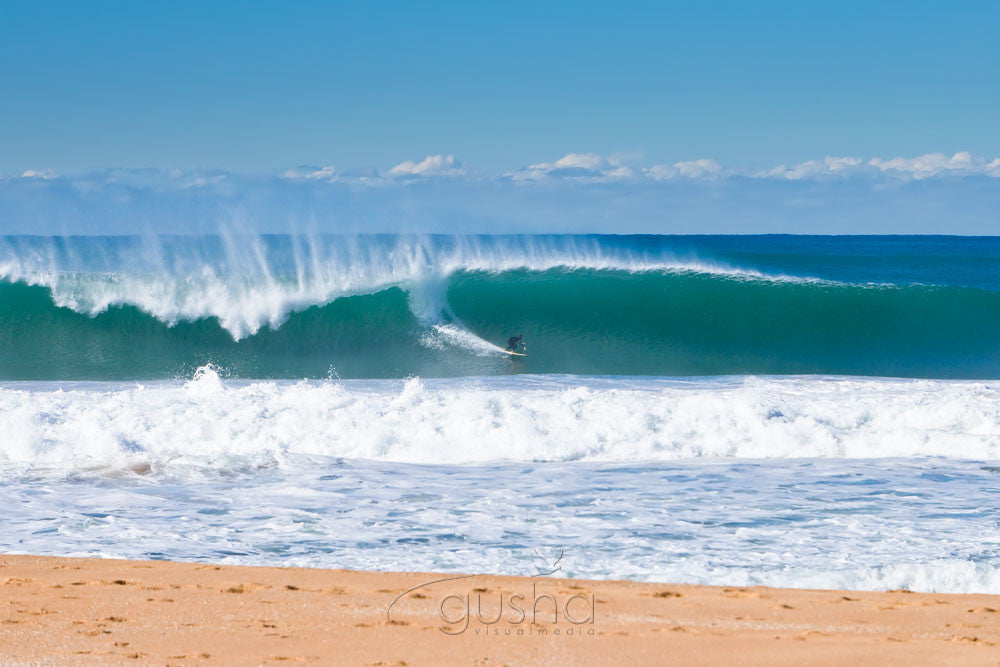 Photo of Narrabeen Beach SYD0898 - Gusha