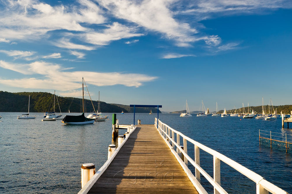 Photo of Taylors Point SYD0931 - Gusha