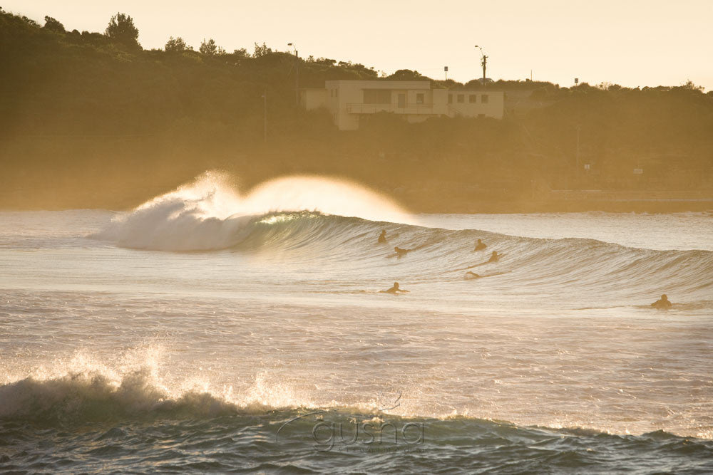 Photo of Freshwater Beach SYD0945 - Gusha