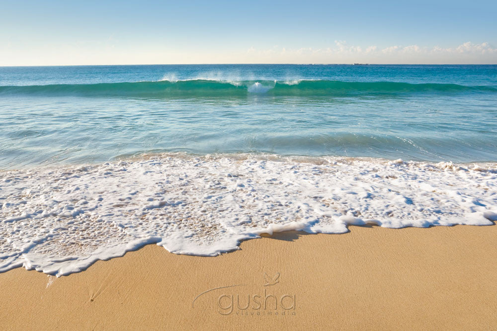 Photo of Coogee Beach SYD1141 - Gusha