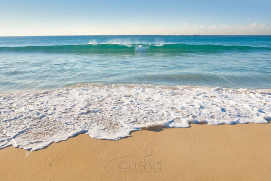 Photo of Coogee Beach SYD1141 - Gusha