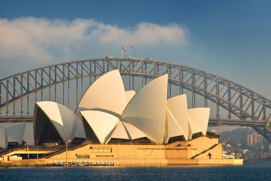 Photo of Sydney Opera House SYD1143 - Gusha