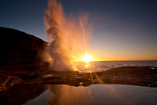 Photo of Maroubra Beach SYD1184 - Gusha