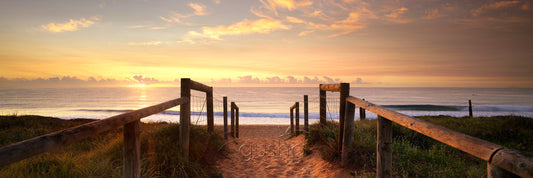 Narrabeen Beach SYD1282