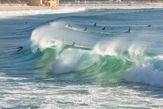 Photo of Manly Beach SYD1321 - Gusha