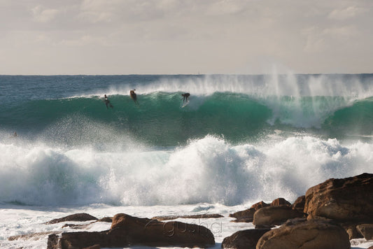 Photo of Deadmans Point SYD1324 - Gusha