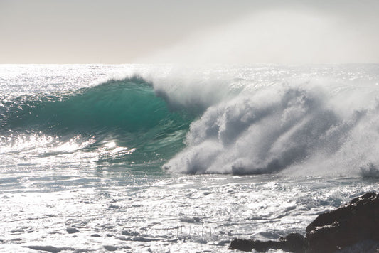 Photo of Deadmans Point SYD1325 - Gusha