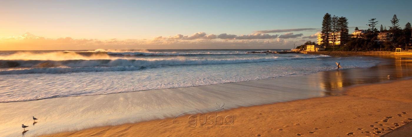 Photo of Dee Why Beach SYD1333 - Gusha