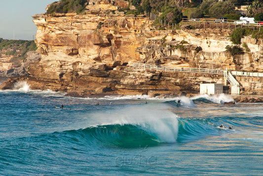 Photo of Bronte SYD1398 - Gusha