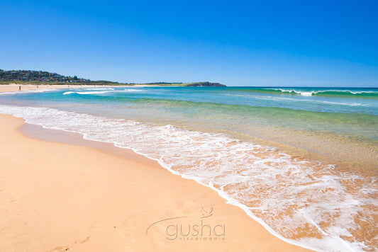 Photo of Long Reef Beach SYD2052 - Gusha