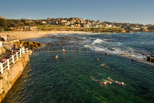 Photo of Bronte SYD2116 - Gusha