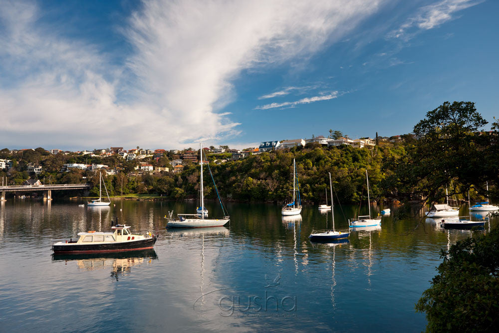 Photo of Clontarf SYD2226 - Gusha