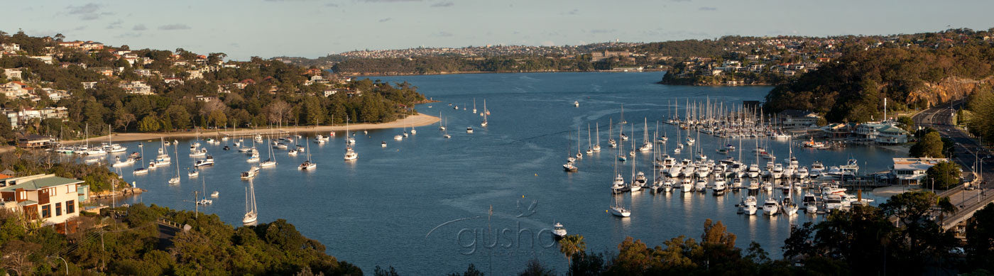 Photo of Clontarf and Middle Harbour SYD2238 - Gusha