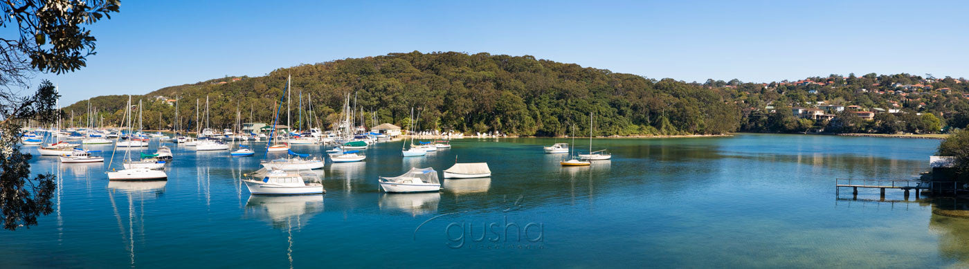 Photo of North Harbour SYD2261 - Gusha